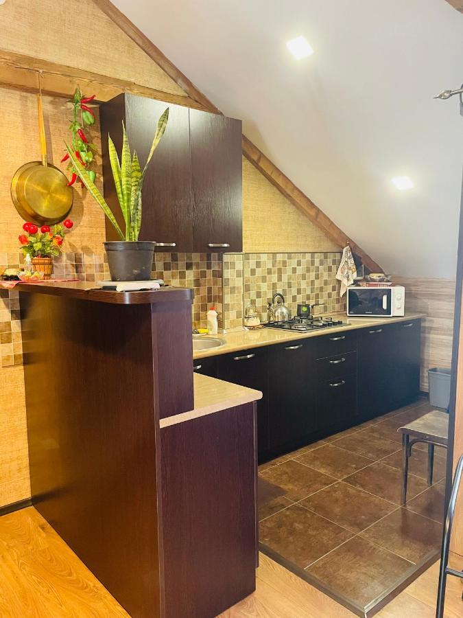 Beautiful Apartment On Atoneli ティビリシ エクステリア 写真