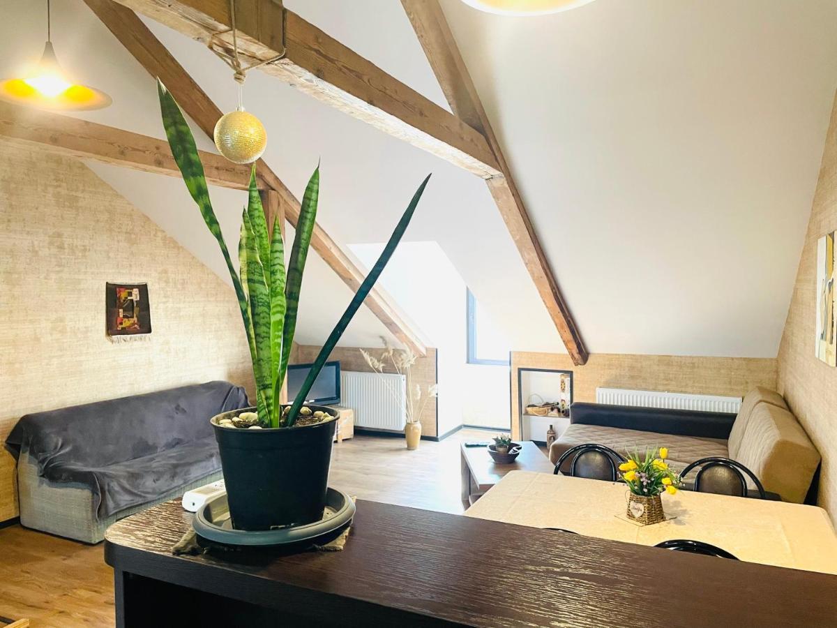Beautiful Apartment On Atoneli ティビリシ エクステリア 写真