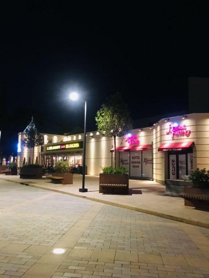 Beautiful Apartment On Atoneli ティビリシ エクステリア 写真